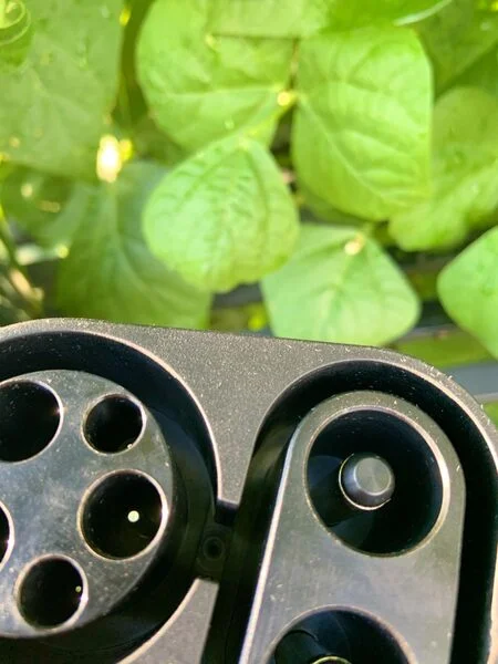 review-20251105043129-QSAgcW