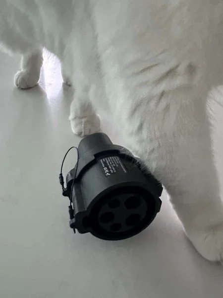 review-20251105070751-OGgu9P